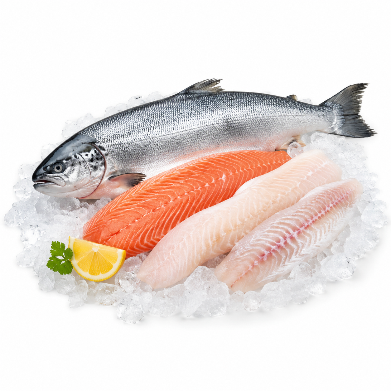 Wild-Caught Fish