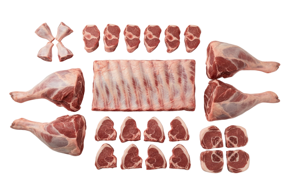 make the colour of the meat darker. DO NOT CHANGE ANYTHING ELSE!