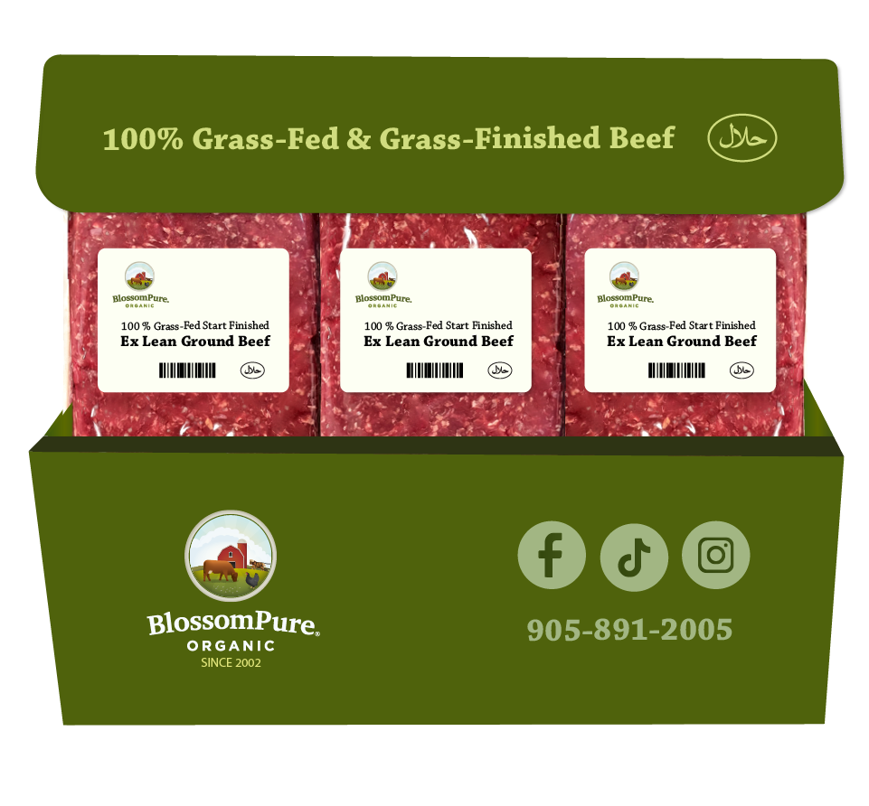 100% Grass-Fed & Finished Extra Lean Ground Beef Box (11 Packs)