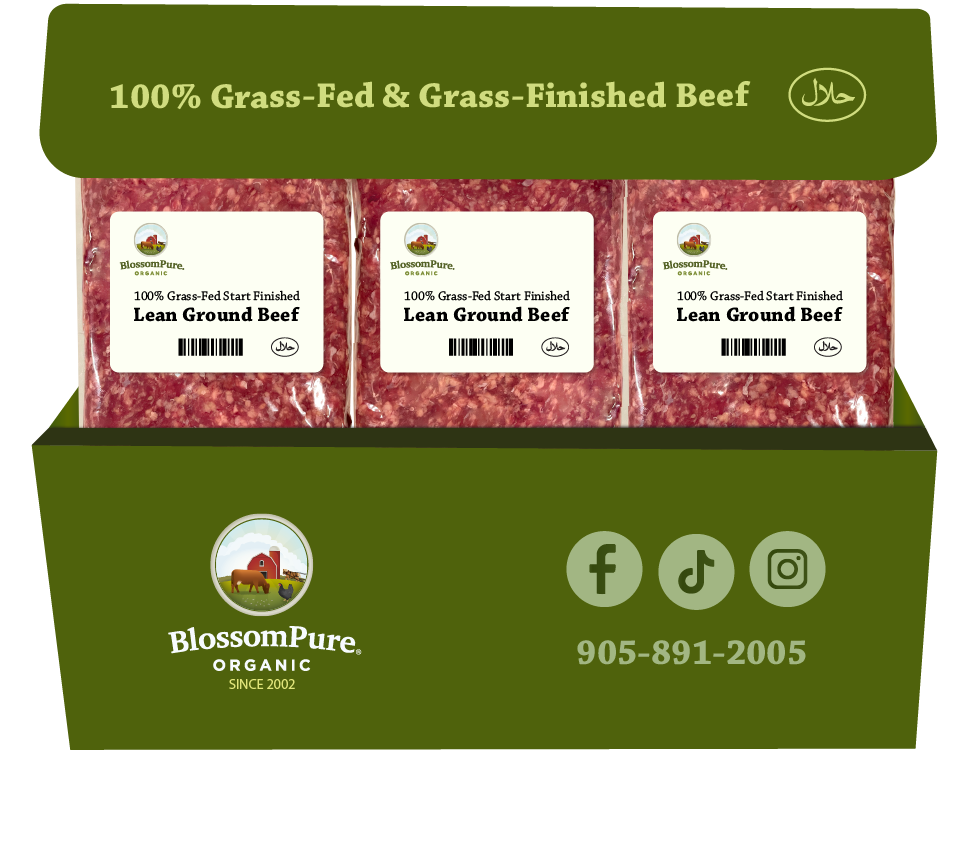 100% Grass-Fed & Finished Lean Ground Beef Box (11 packs)