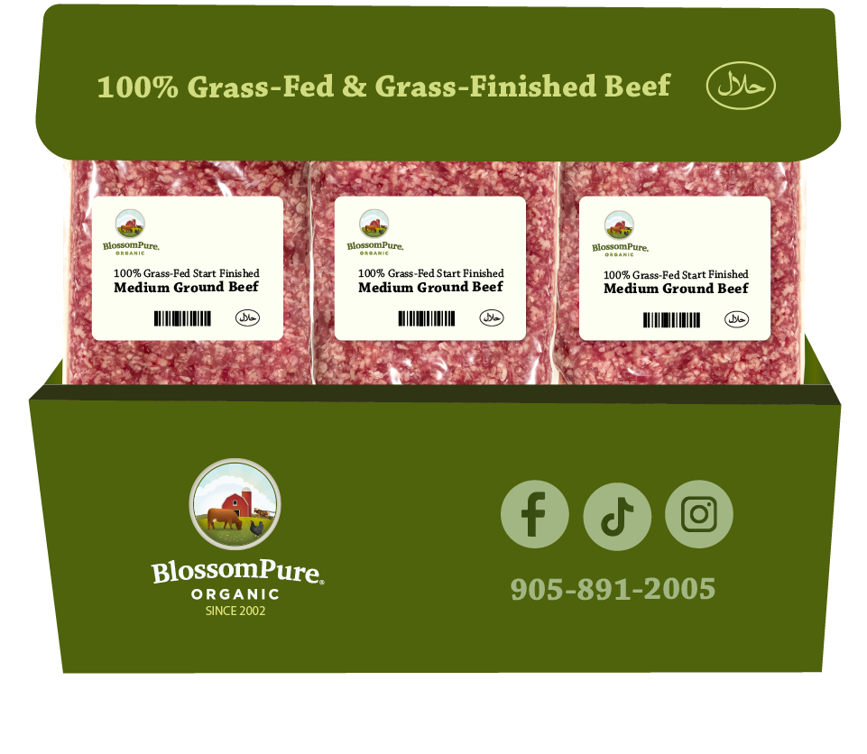 100% Grass-Fed & Finished Medium Ground Beef Box (11 packs)