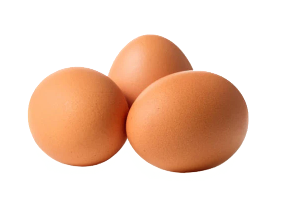 Pasture-Raised Mennonite Eggs