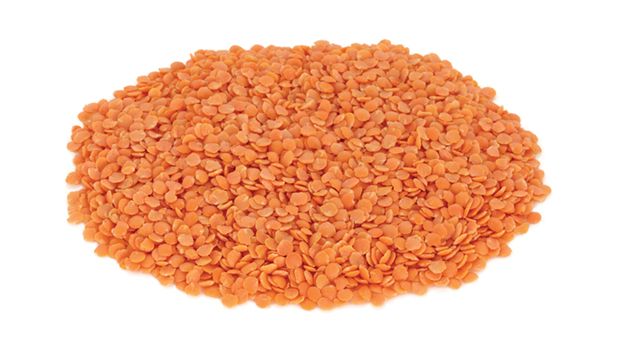 Organic Red Lentils 500g
