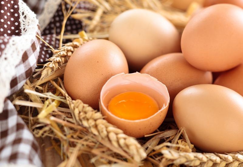 
                  
                    Pasture-Raised Mennonite Eggs
                  
                